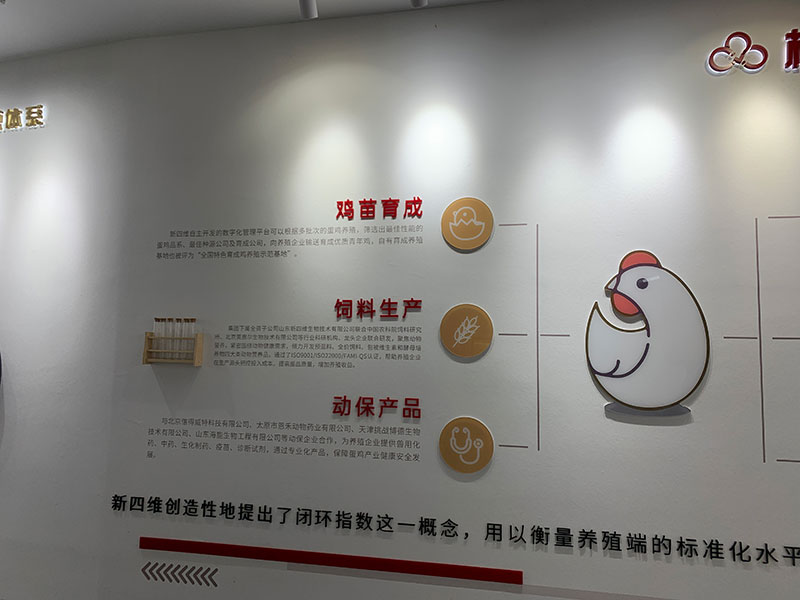 微信图片_20241225152343.jpg